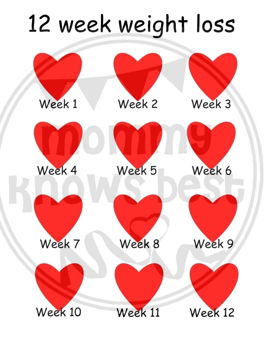12 Week Weight Loss Tracker Chart Slimming Log Planner Weekly Plan Weight Watchers Logger PNG JPG PDF 12 Week Challenge Digital Download Etsy