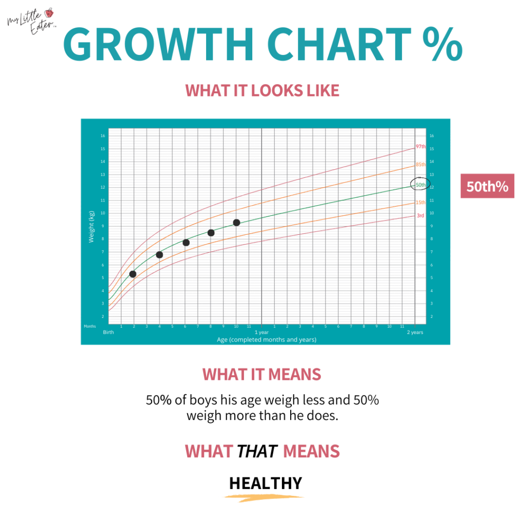 6 Ft Wooden Wood Frame Personalized Kids Height Ruler Wood Frame Wall Measure Chart With Pink Butterfly Design Kids Ruler Growth Chart