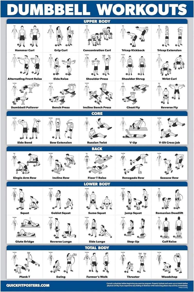 AEFER Dumbbell Workout Exercise Poster Free Weight Body Building Guide Home Gym Chart Unframe 11x14inch 28x36cm Walmart