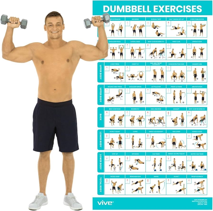 Amazon Vive Dumbbell Workout Poster Home Gym Exercise For Upper Lower Full Body Laminated Bodyweight Chart For Back Arm Core And Legs Free Weight Building Guide For Men Women