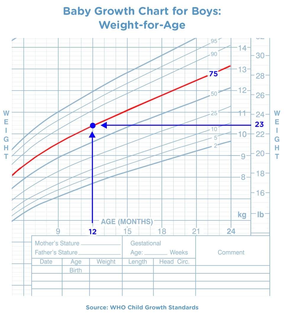 Baby Growth Chart Track Their Milestones Pampers UK