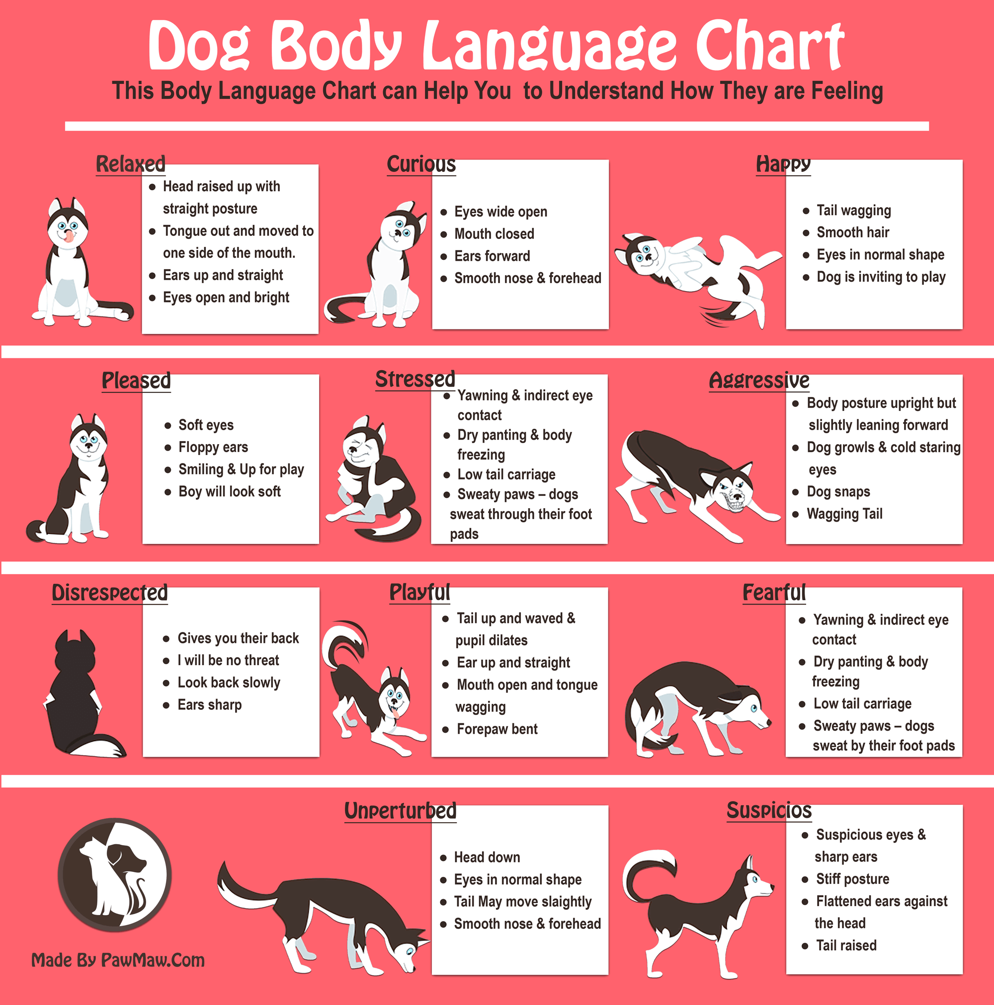 Body Language Dog Behavior 101 Dog Body Language 101 Guide Rescue Dogs 101
