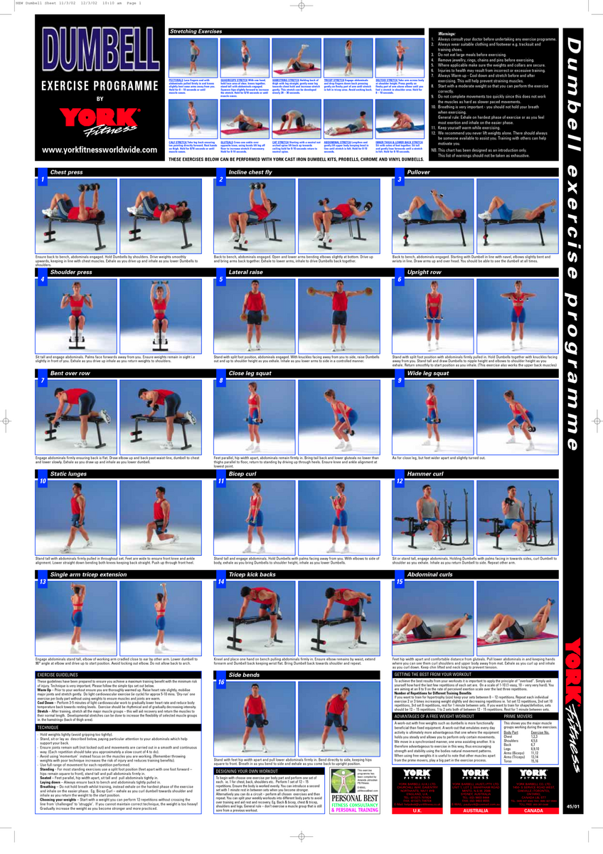 Chart Dumbbell Workout Regimen At Home Workout Dumbbell Workout Chart Pdf Pdf Dumbbell Workout