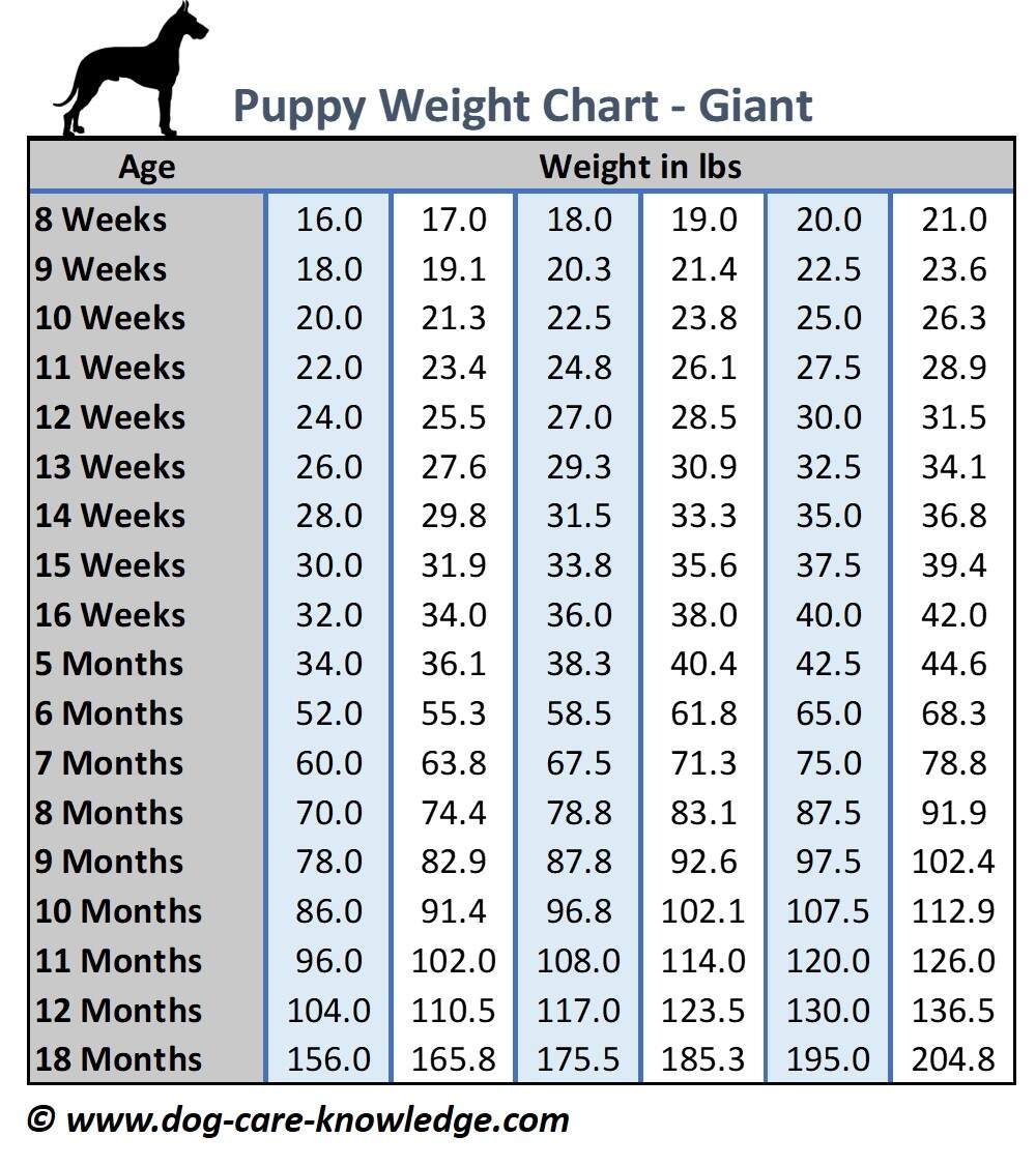 Cheap Medium Puppy Growth Chart 2026 Hot Large Breed Puppy Growth Chart Discount