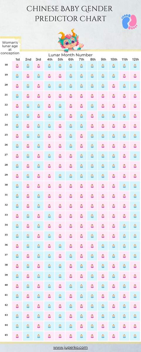 Chinese Baby Gender Predictor Chart R Infographics