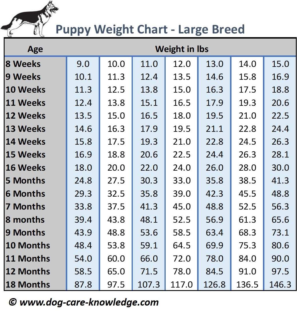 Comprehensive Puppy Weight Chart Growth Guide By Breed Puppy Weight Calculator How Big Will My Puppy Get Puppy Growth Calculator