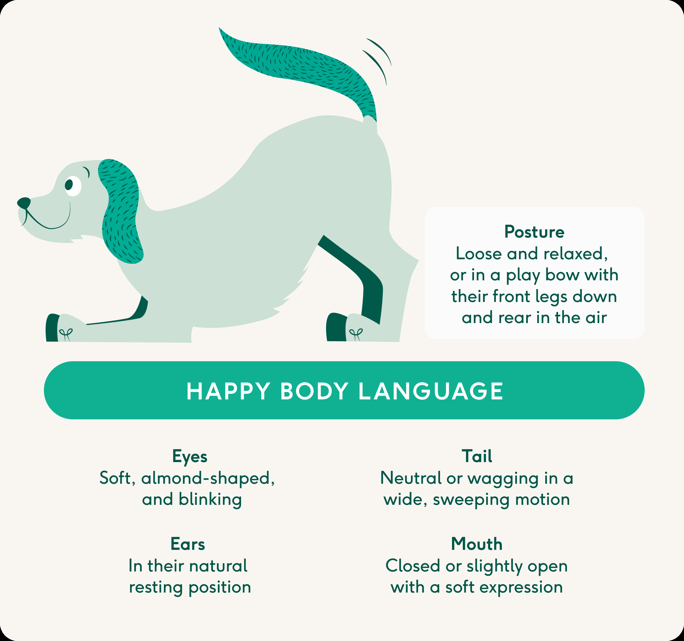Dog Body Language A Canine Behaviourist S Guide With Chart And Pictures Lyka Blog Dog Body Language A Canine Behaviourist S Guide With Chart And Pictures Lyka Blog