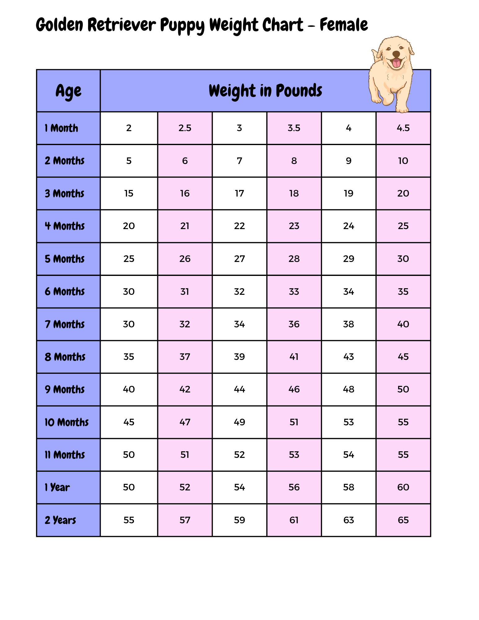 Dog Weight Chart Master The Scale For Your Dog S Health