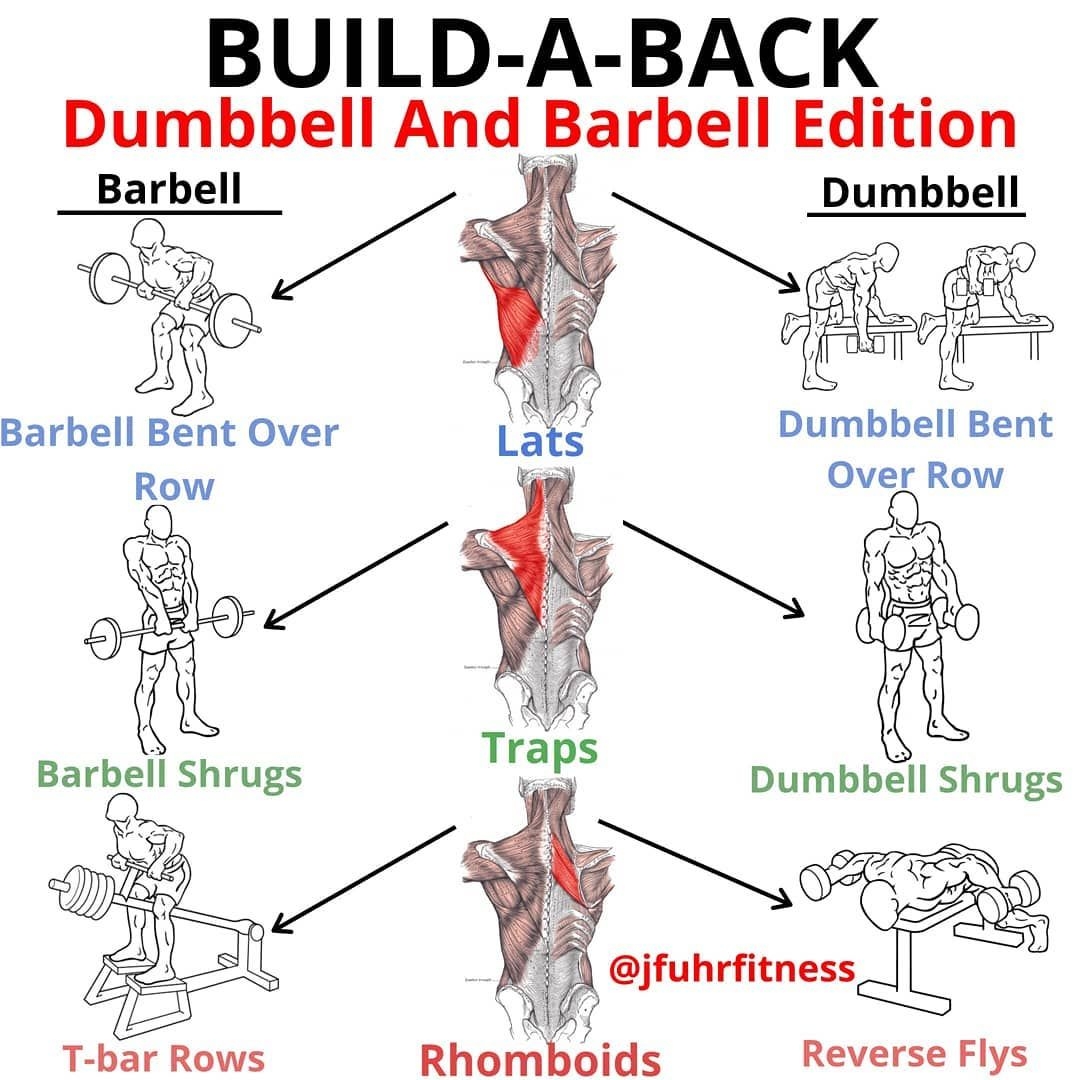 Dumbbell Effective Back Stretches Workout Chart Back Workout Db Workout Chart Top Back Exercises For Dumbbell Effective Back Stretches Workout Chart Back Workout Db Workout Chart Top Back Exercises For