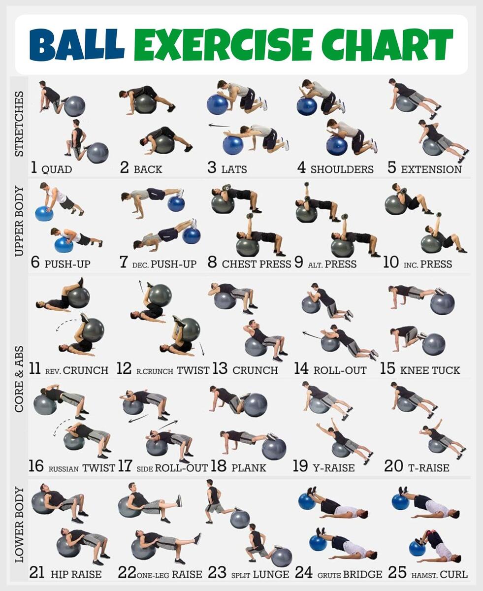 Amazon Exercise Ball Workout Poster Stability Ball Routine Balance Ball Laminated 18 X 24 Sports Outdoors