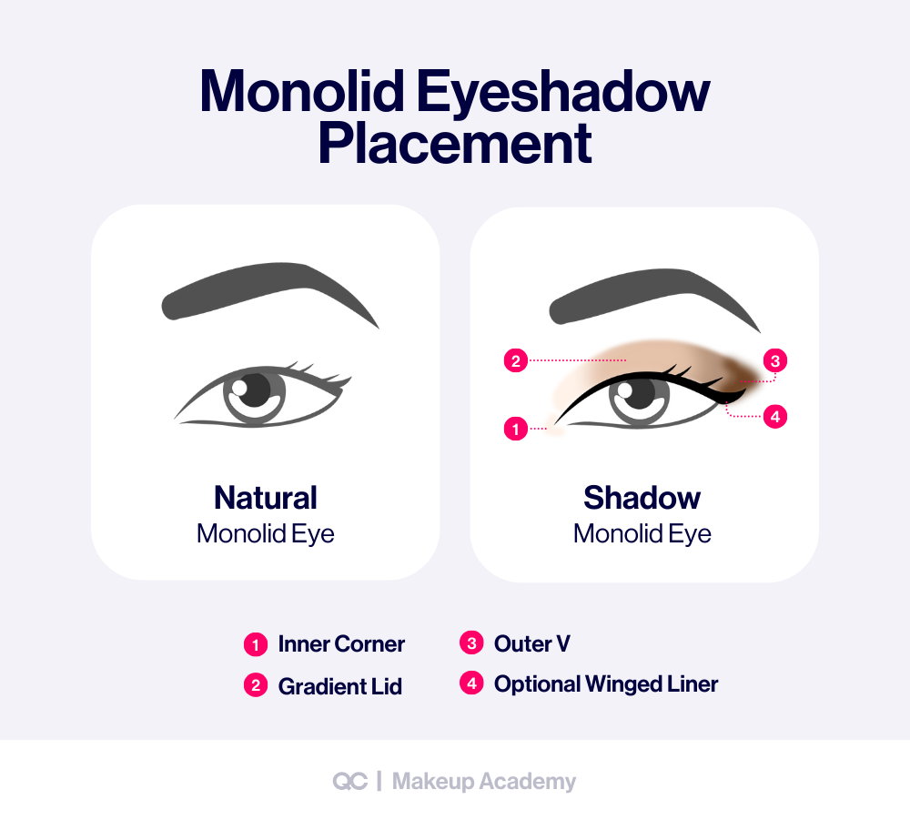Eye Shadow Looks Step By Step Guide For Stunning Eye Makeup QC Makeup Academy