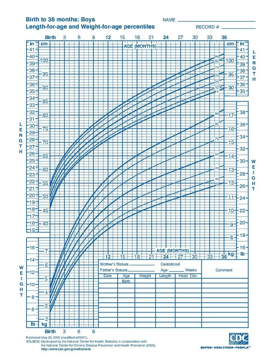 Complete Guide For Understanding Baby Growth Charts In The First Year
