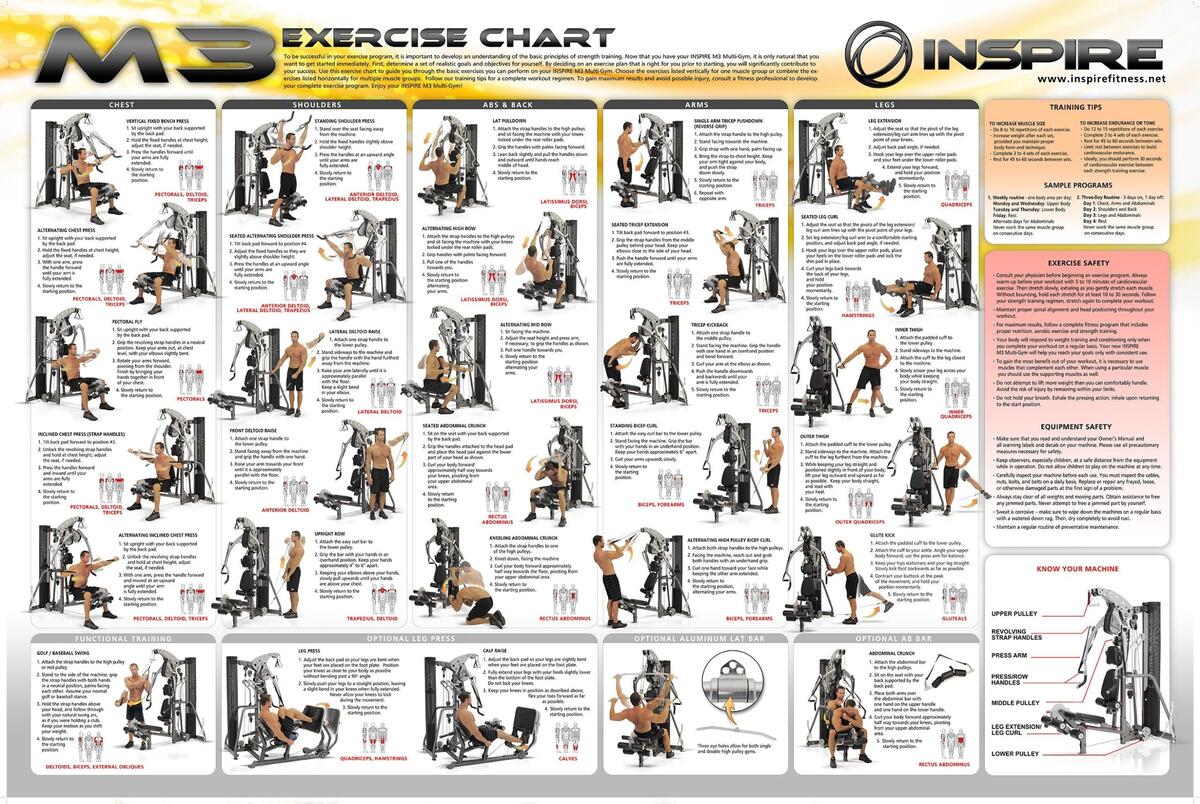 Total Gym Printable Home Gym Exercise Chart Home Gym Exercise Chart Total Gym Wall Chart Printable