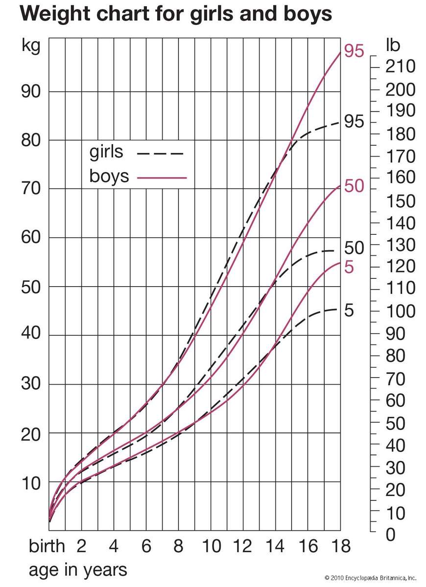 Human Development Boys Girls Height Britannica