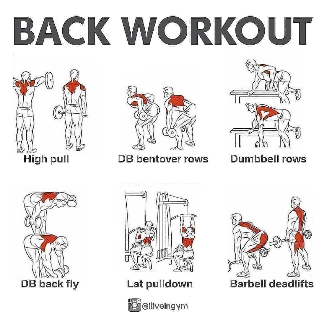 Lower Back Dumbbell Back Workout Chart Free Weight Back Exercises Best Lower Back Exercises With Weights Lower Back Dumbbell Back Workout Chart Free Weight Back Exercises Best Lower Back Exercises With Weights