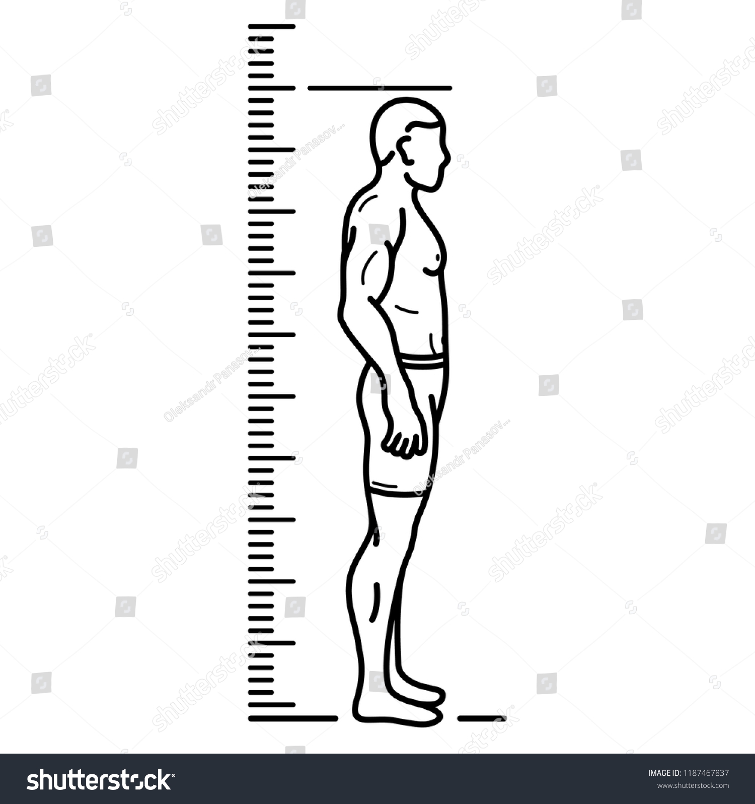 Cute Zebra Kids Height Chart Growth Meter Royalty Free Vector VectorStock