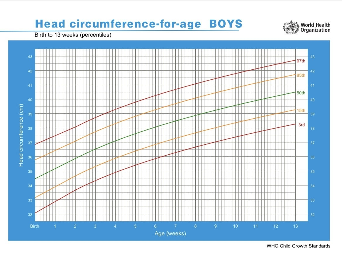 Measuring Head Circumference Of Baby Wintape Measuring Tape