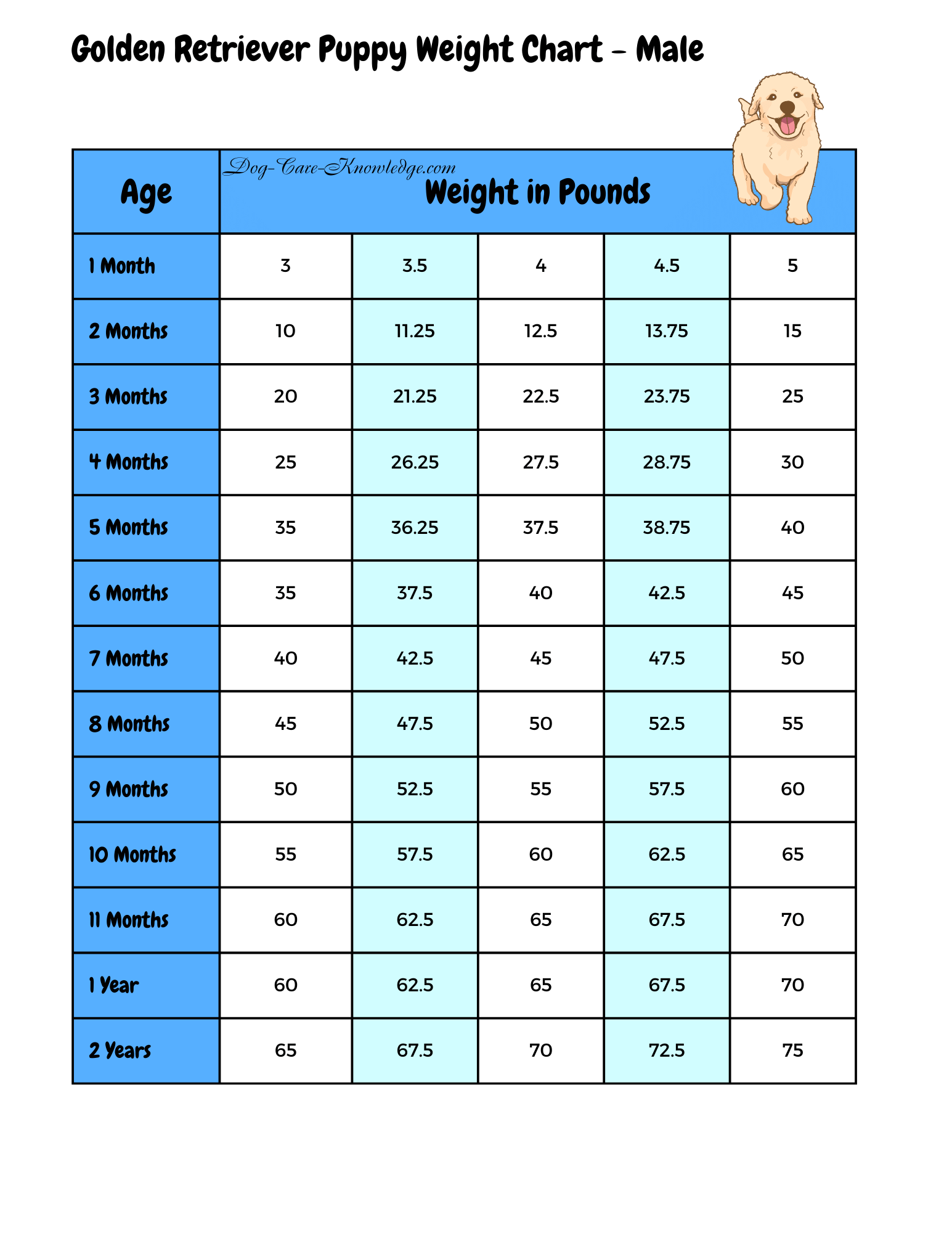Mixed Breed Dog Age Chart By Weight Puppy Growth Chart Medium Online Mixed Breed Dog Age Chart By Weight Puppy Growth Chart Medium Online