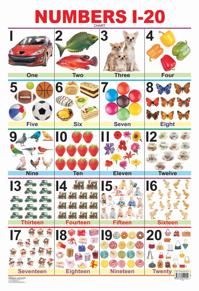 Number Chart 1 20 Teacher Classroom Homeschool Resource Digital Download Etsy