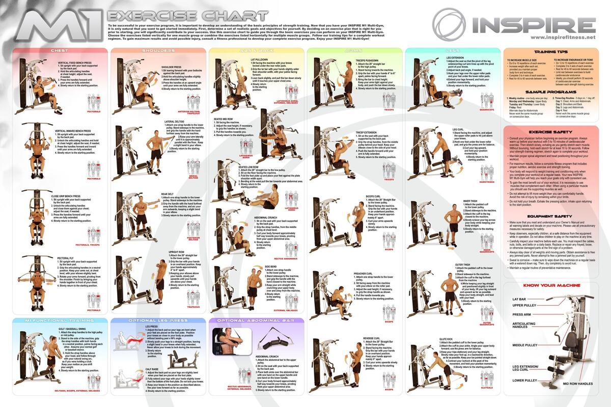 Pdf Bowflex Strength Training Home Gym System BOWFLEX XTREME SE OWNER S MANUAL Pdf Download Pdf Bowflex Strength Training Home Gym System BOWFLEX XTREME SE OWNER S MANUAL Pdf Download