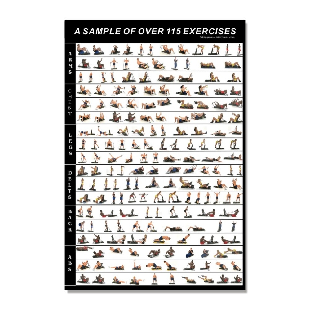 Pdf Dumbbell Home Exercises Total Body Powerblock Dumbbell Exercises Powerblock Dumbbell