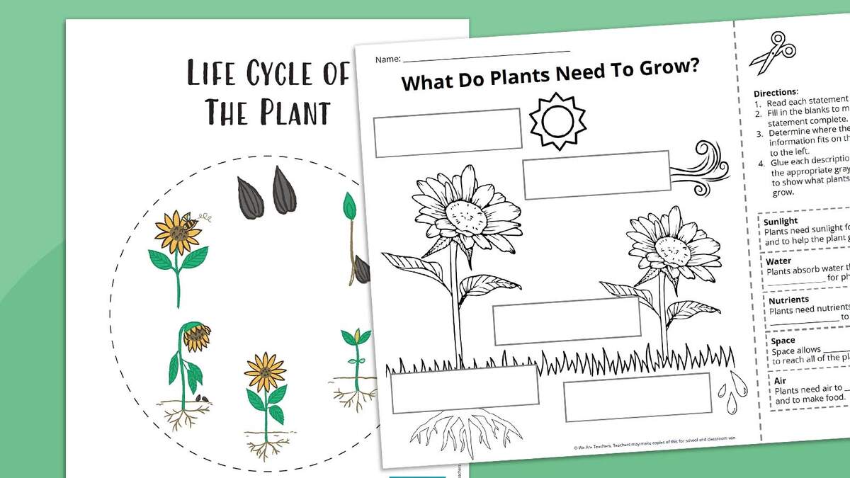 Plant Life Cycle Worksheet Bundle Free Printables When To Start Seeds Indoors Planting Calendars For Every Zone Homestead And Chill