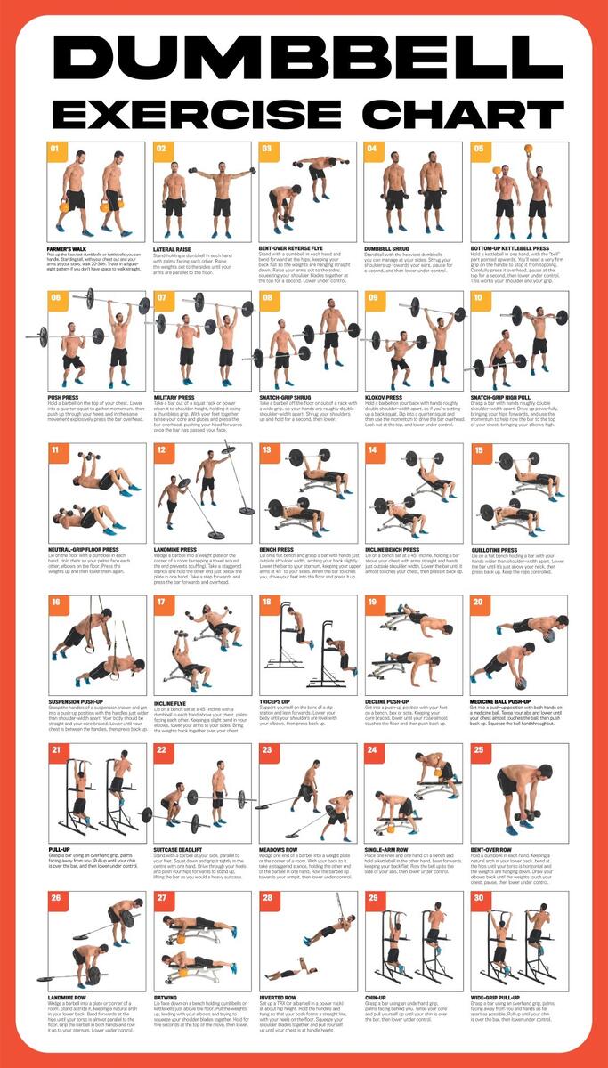 Poster Whole Body Dumbbell Workout Pdf Upper Body Workout Dumbbell Workout Chart Pdf Full Body Dumbbell