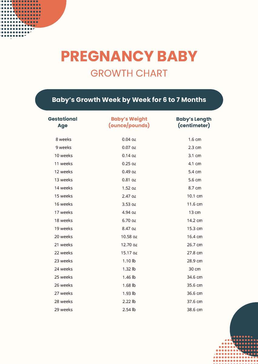 Pregnancy Baby Growth Chart In PDF Download Template