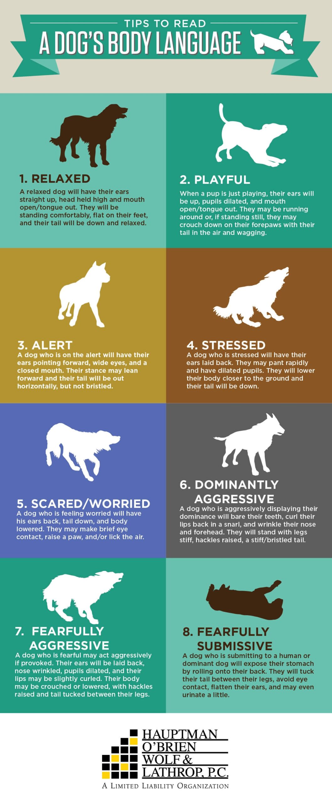 Preventing Dog Bites How To Read A Dog S Body Language Preventing Dog Bites How To Read A Dog S Body Language
