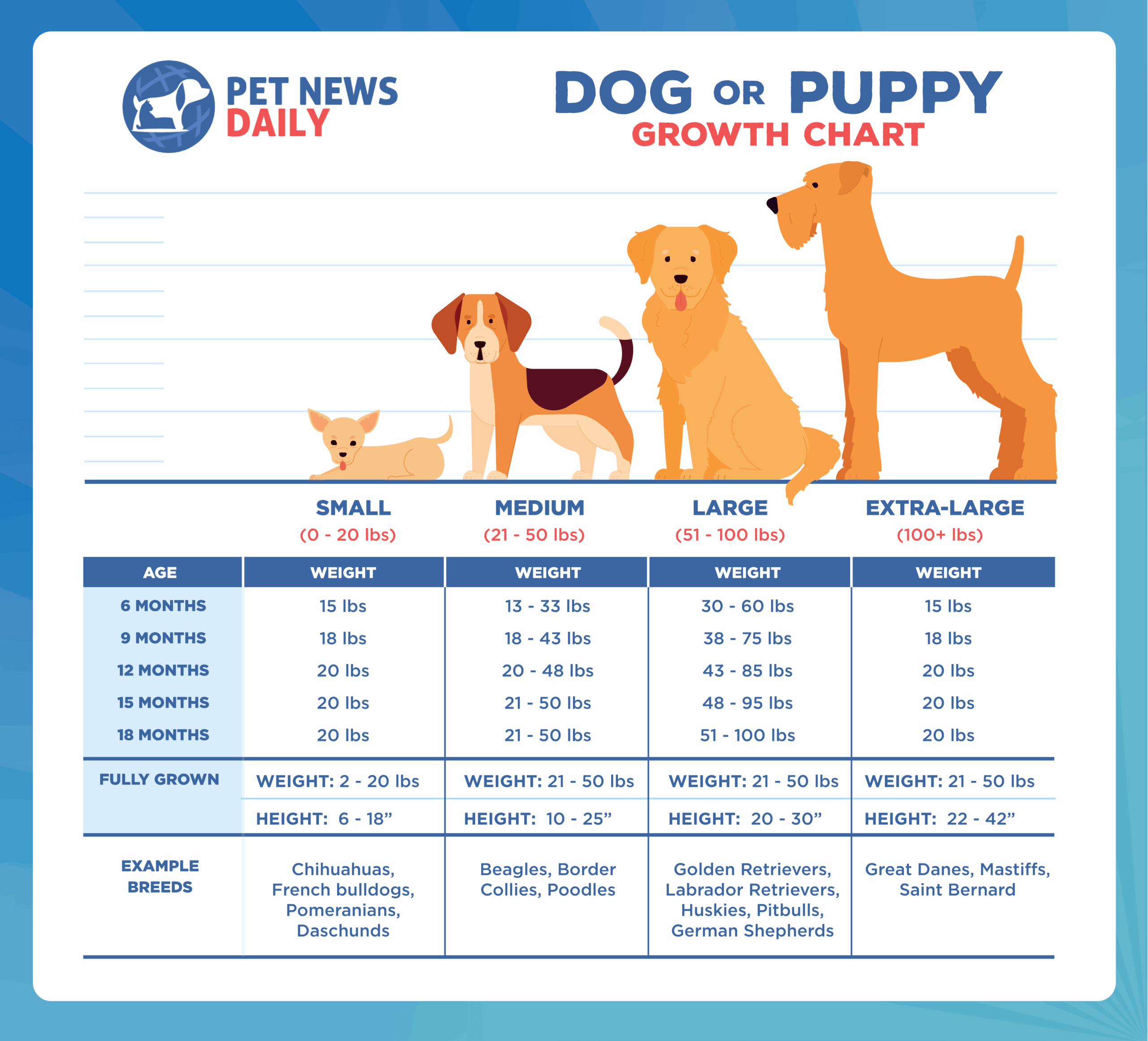 Puppy Weight Calculator How Big Will My Puppy Get Puppy Growth Calculator Puppy Weight Calculator How Big Will My Puppy Get Puppy Growth Calculator