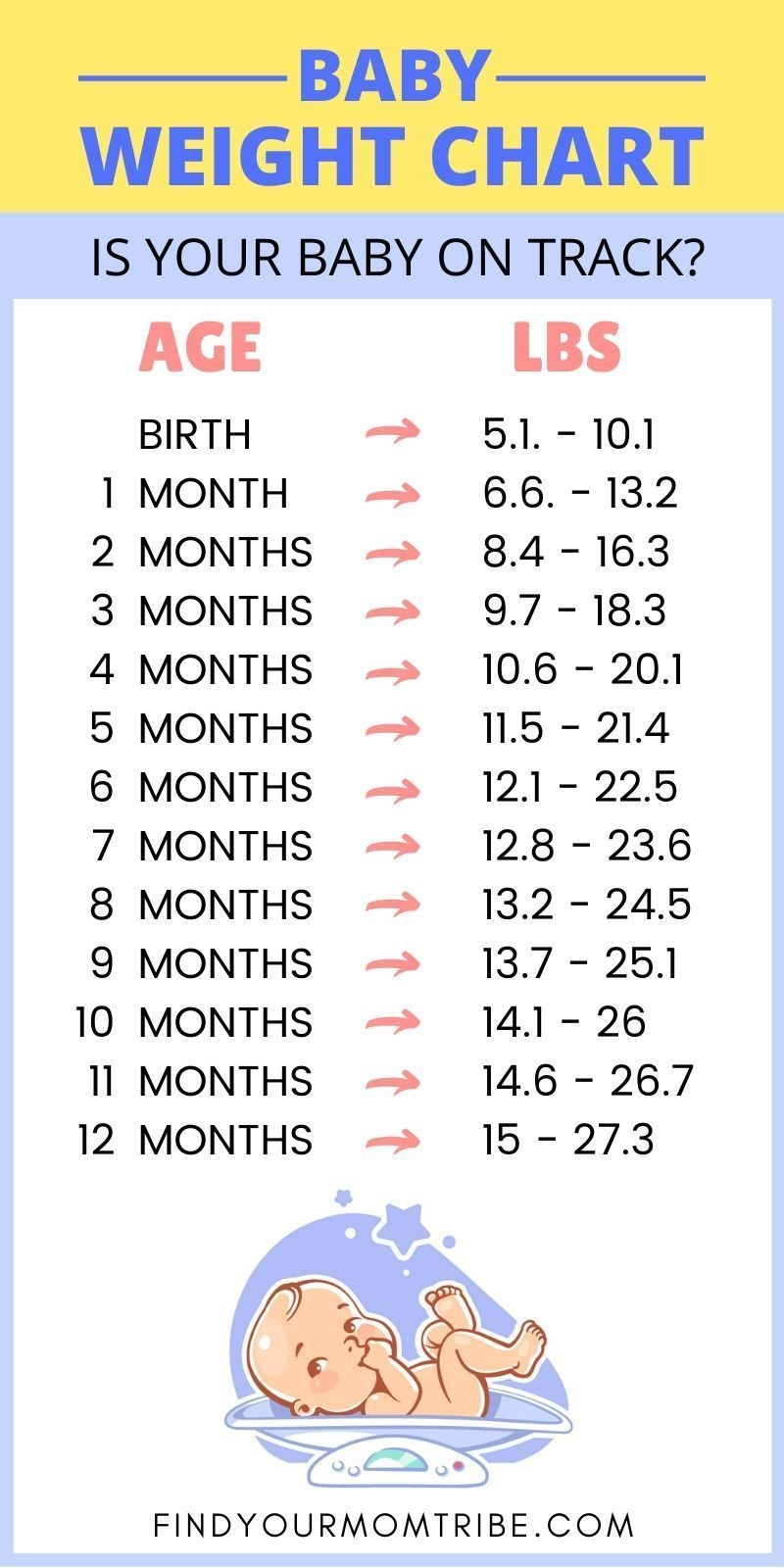 Sale 6 Month Old Growth Chart Clearance