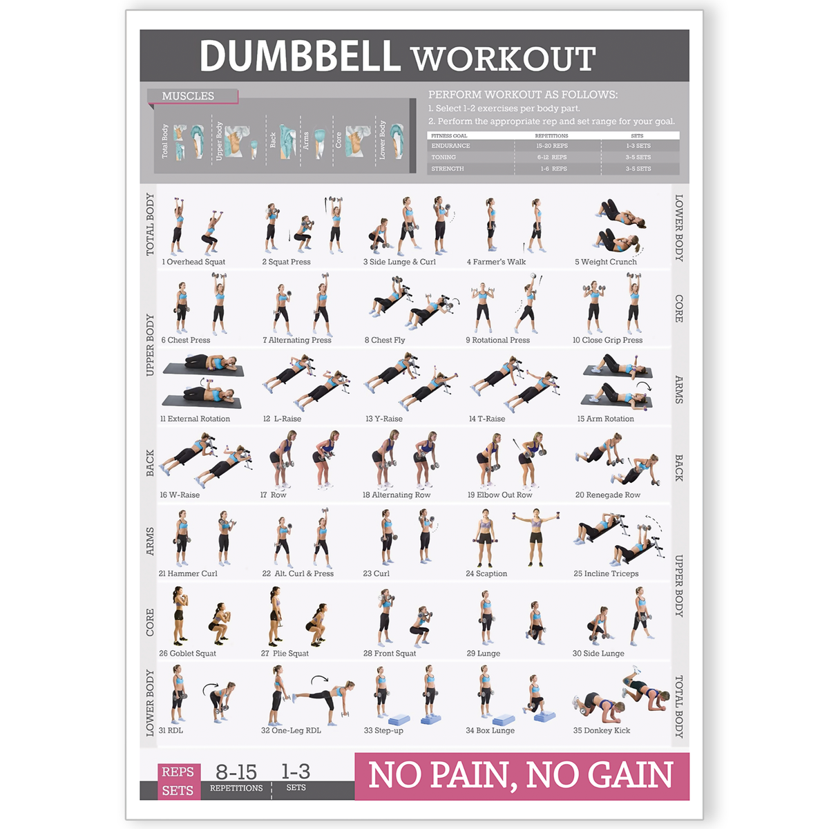 Pdf Dumbbell Home Exercises Total Body Powerblock Dumbbell Exercises Powerblock Dumbbell