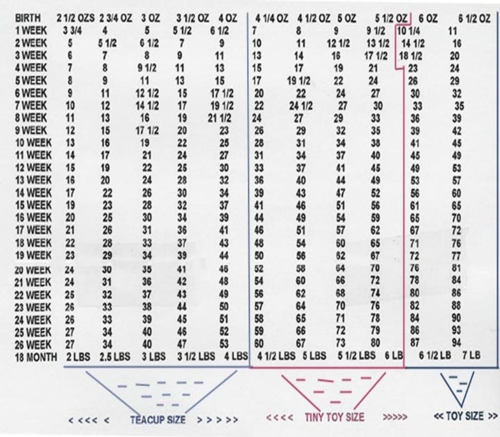 Weight Chart Fancypoo4u Weight Chart Fancypoo4u
