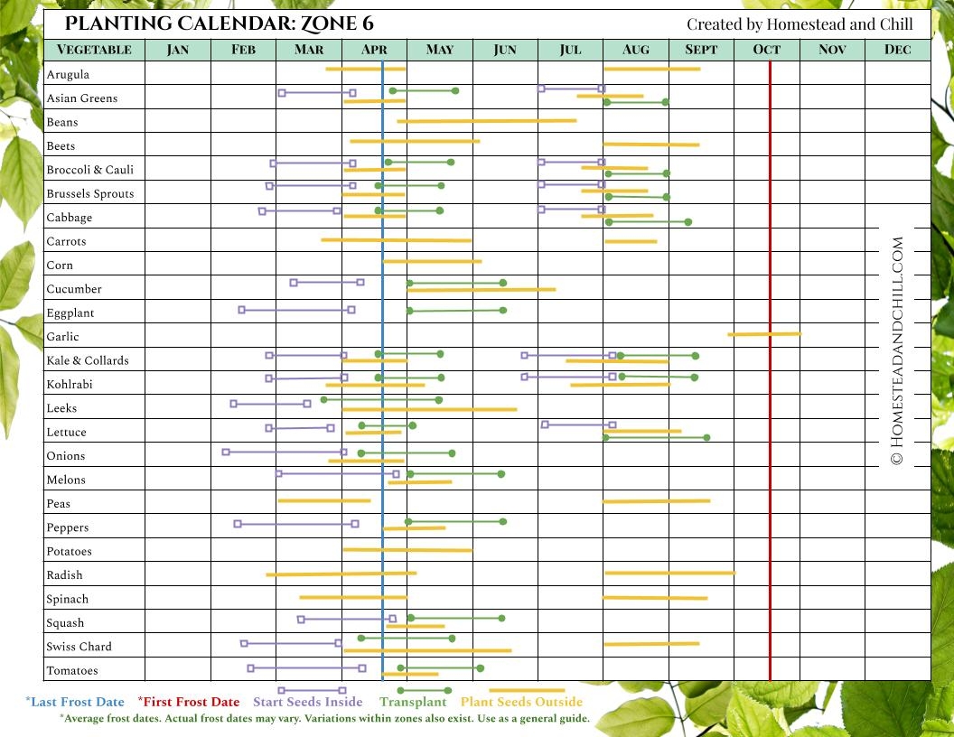 When To Start Seeds Indoors Planting Calendars For Every Zone Homestead And Chill When To Start Seeds Indoors Planting Calendars For Every Zone Homestead And Chill