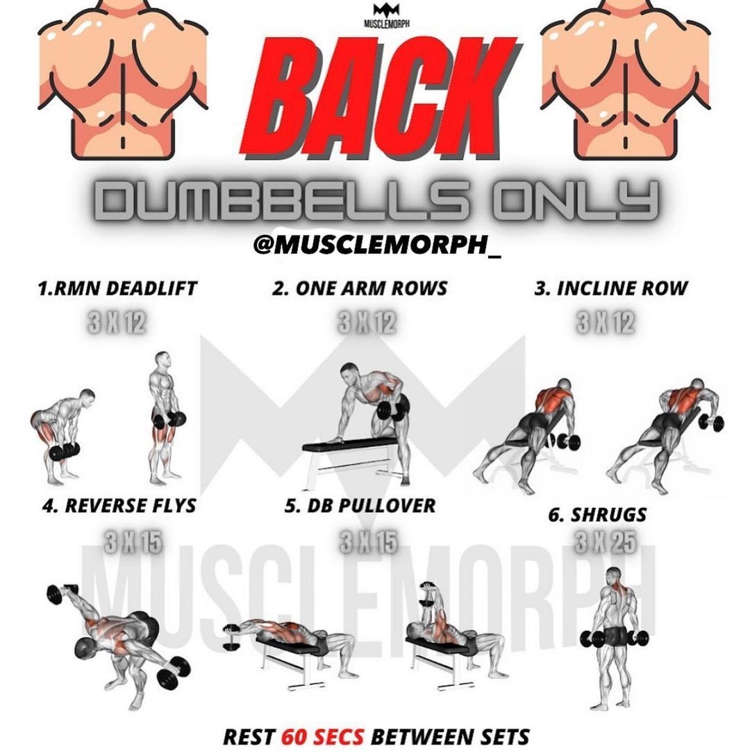 Workout Chart Home Dumbbell Workout Back Back Workout Routine Dumbbells Dumbbell Workout Back Workout Workout Chart Home Dumbbell Workout Back Back Workout Routine Dumbbells Dumbbell Workout Back Workout