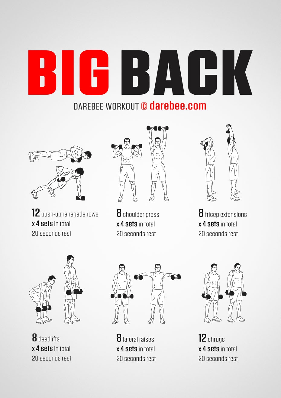 Workout Chart Home Dumbbell Workout Back Workout Chart Back Weights With Dumbbells Workout Chart At Home