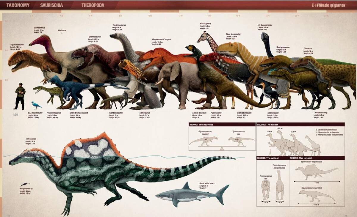 My Size Chart Of Nearly Every Dinosaur In The Jurassic Park Franchise Full Image In The Comments R JurassicPark