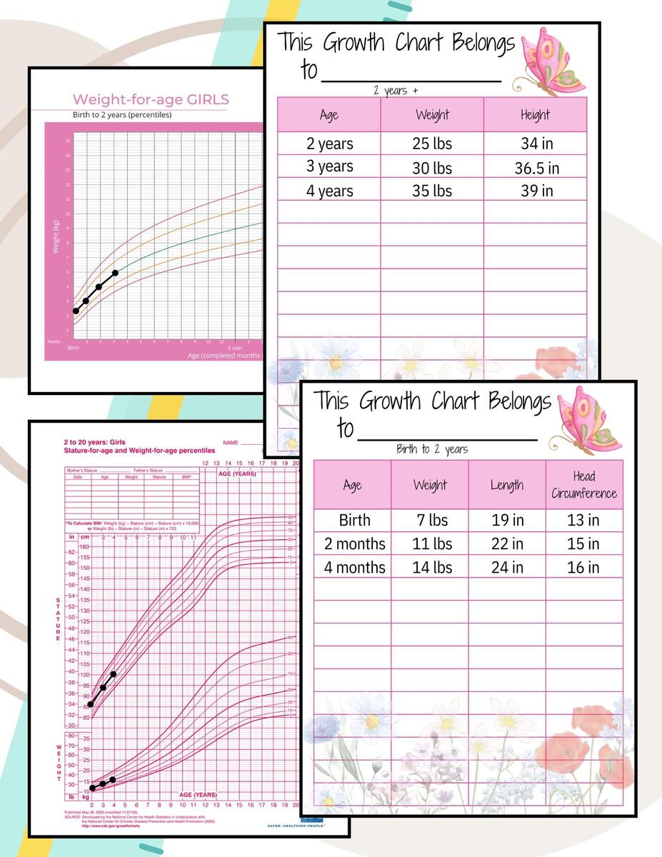Baby Girl Growth Chart Printable WHO CDC Tracker PDF Download 8 5x11 Etsy UK