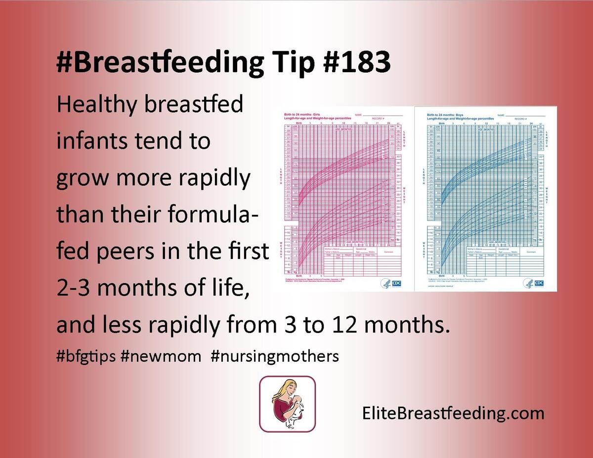 Understanding Your Baby S Weight Gain In The First Year The Lactation Collection