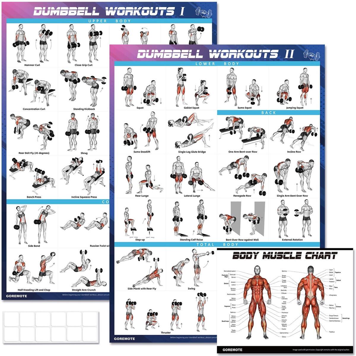 Body Workout Chart Total Gym Back Exercises Gym Exercise Chart Pdf Total Gym Poster Total Gym