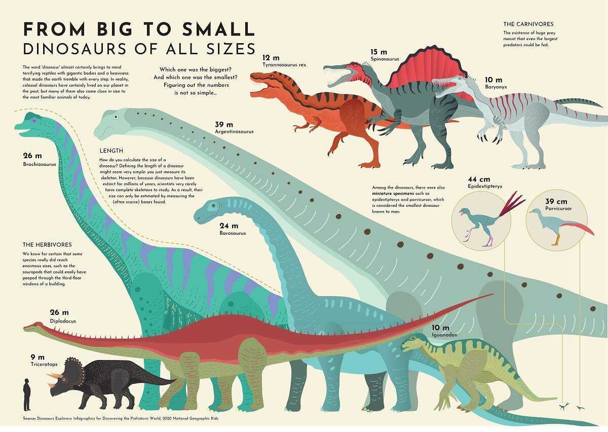 Comparing The Sizes Of Dinosaurs In The Lost World Visual Capitalist