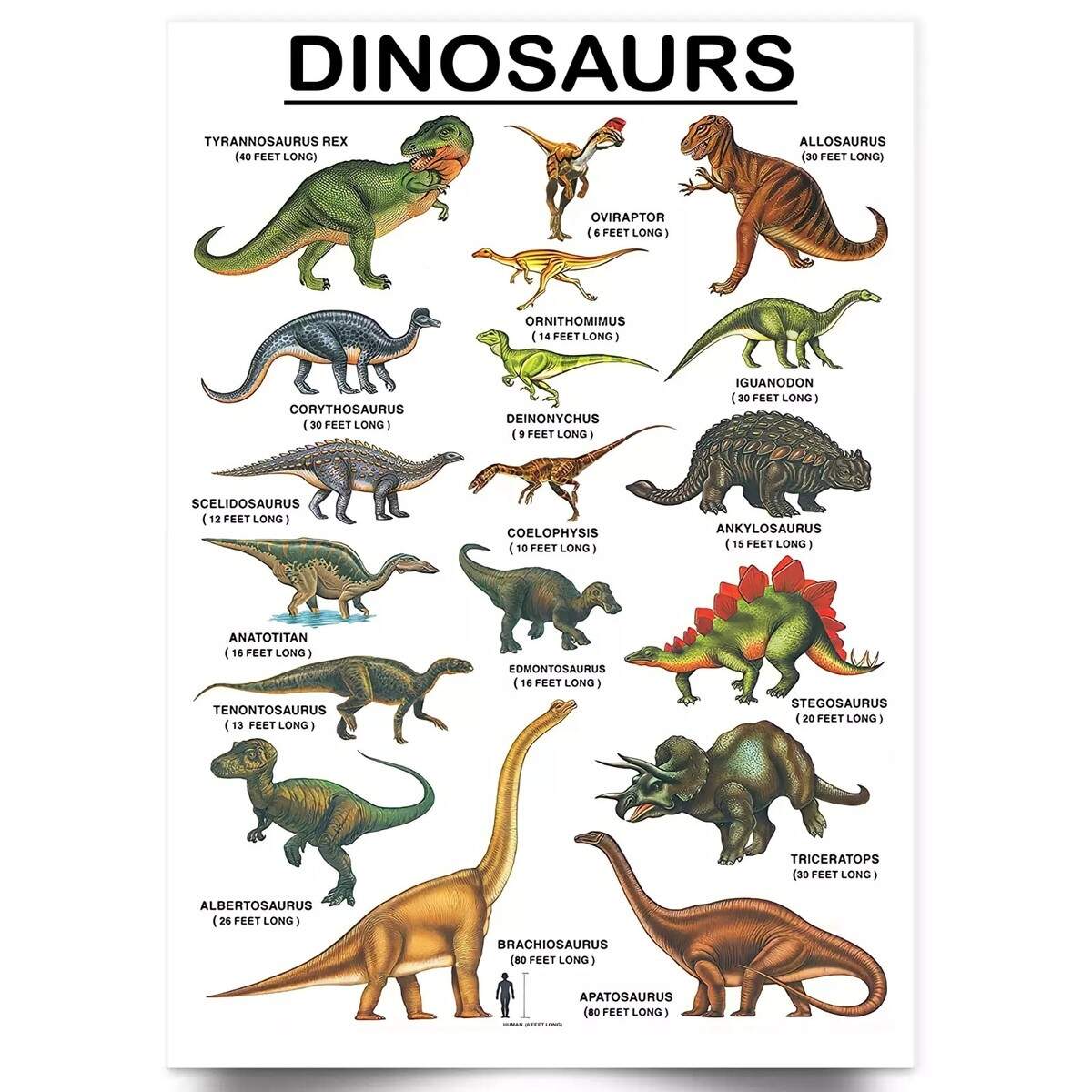 Dinosaurs Wall Chart Poster Educational Wallchart Children Print EBay