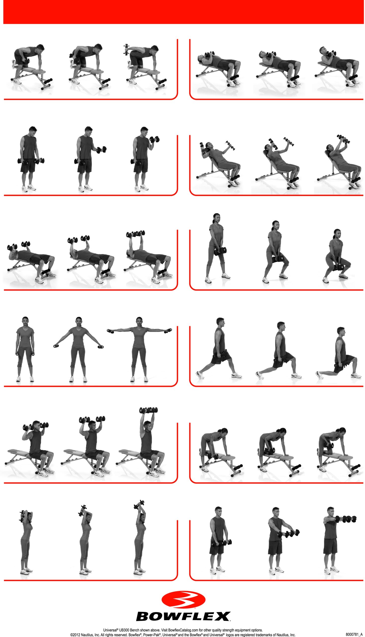 Flex Exercise Chart Total Flex Multi Gym Workout Equipment Total Gym Exercise Booklet Pdf Total Gym Xls