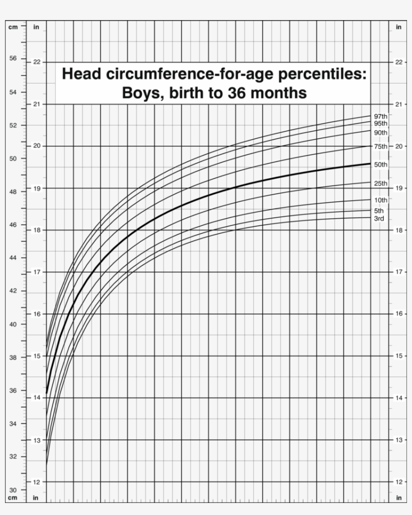 Head Circumference For Age Percentiles Boys Birth Head Circumference Who Growth Charts Transparent PNG 850x1021 Free Download On NicePNG Head Circumference For Age Percentiles Boys Birth Head Circumference Who Growth Charts Transparent PNG 850x1021 Free Download On NicePNG