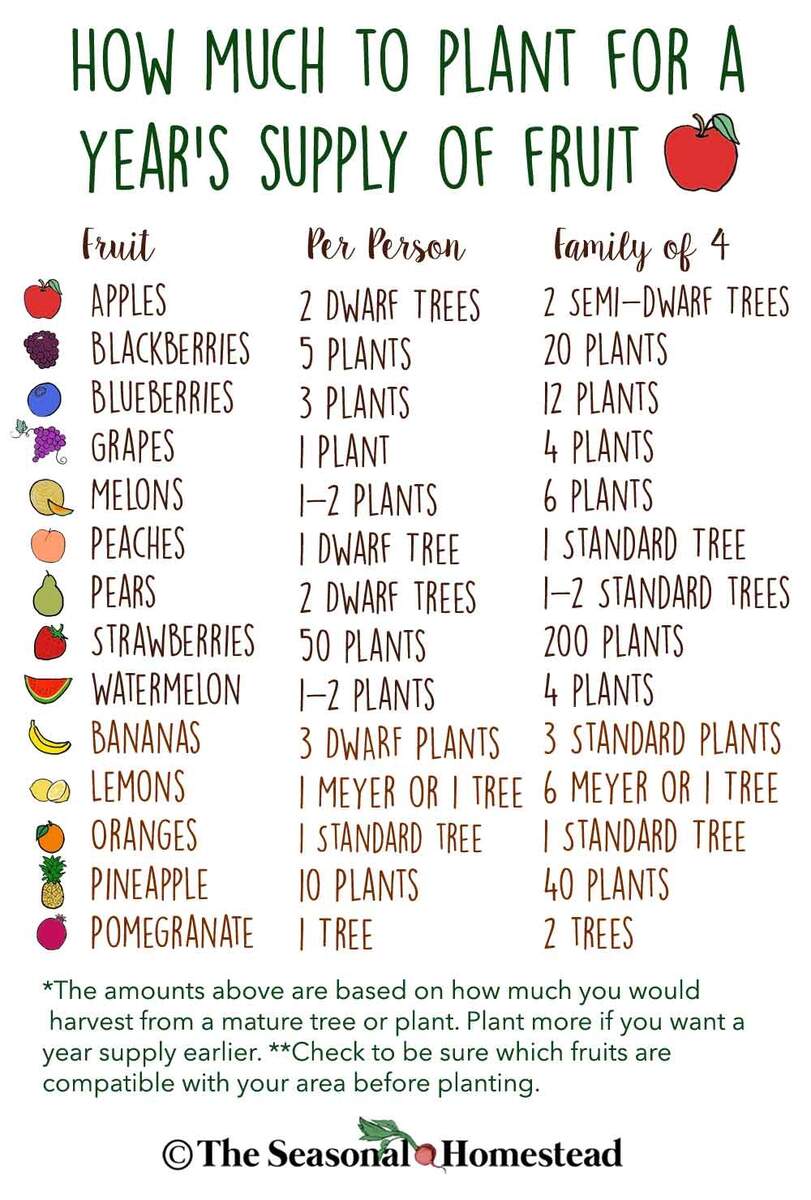 How Much To Plant For A Year S Supply Of Fruit The Seasonal Homestead