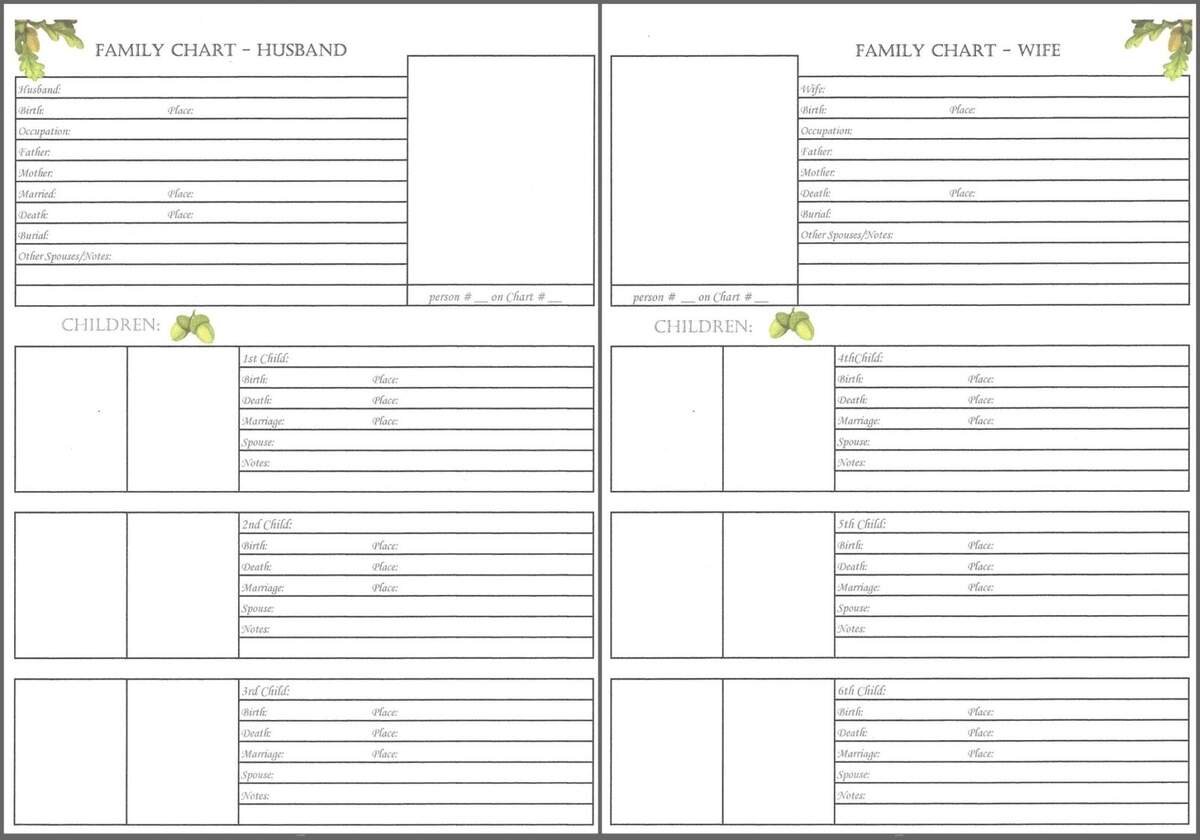 Oak Tree 6 X 8 Family Chart 2 Scrapbook Your Family Tree