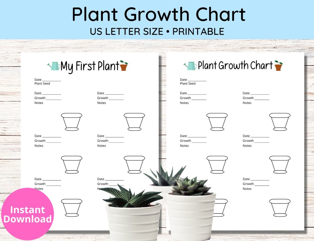 Plant Growth Chart Worksheet Teach Starter