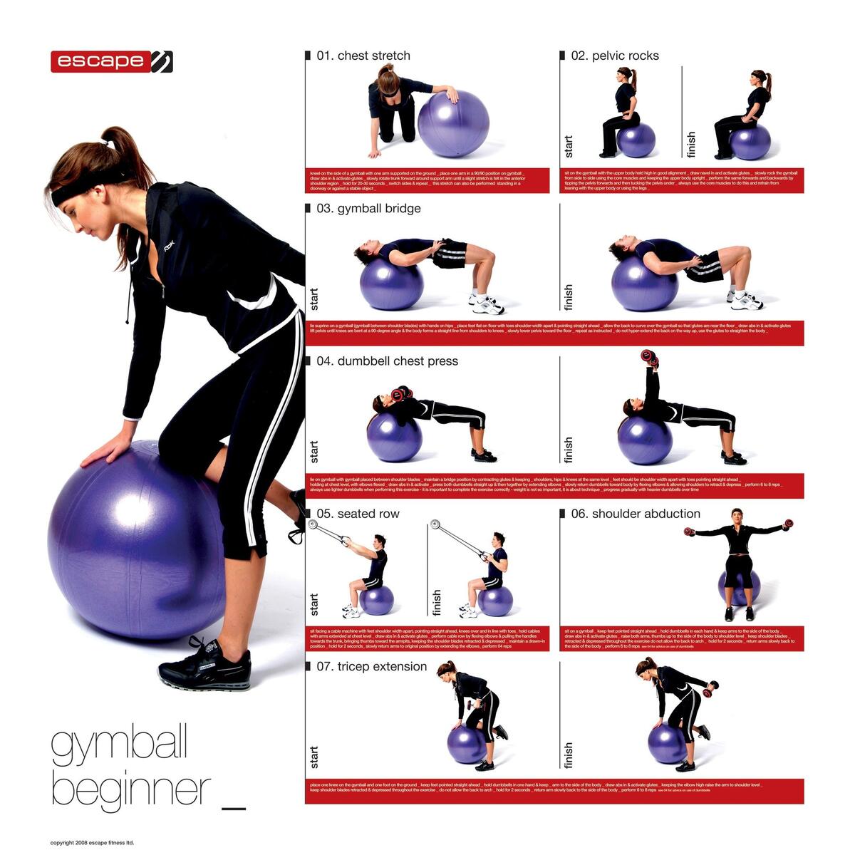 Printable Slam Ball Fitness Exercise Ball Workout Chart Chart Core Ball Workout Full Body Printable Slam Ball Fitness Exercise Ball Workout Chart Chart Core Ball Workout Full Body