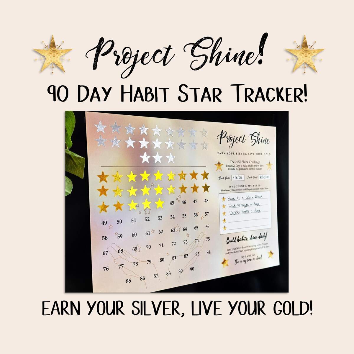 PROJECT SHINE Habit Tracker Star Chart Earn Your Silver And Live Your Gold 21 90 Rule With Healthy Sustainable Realistic Fun Habits Etsy