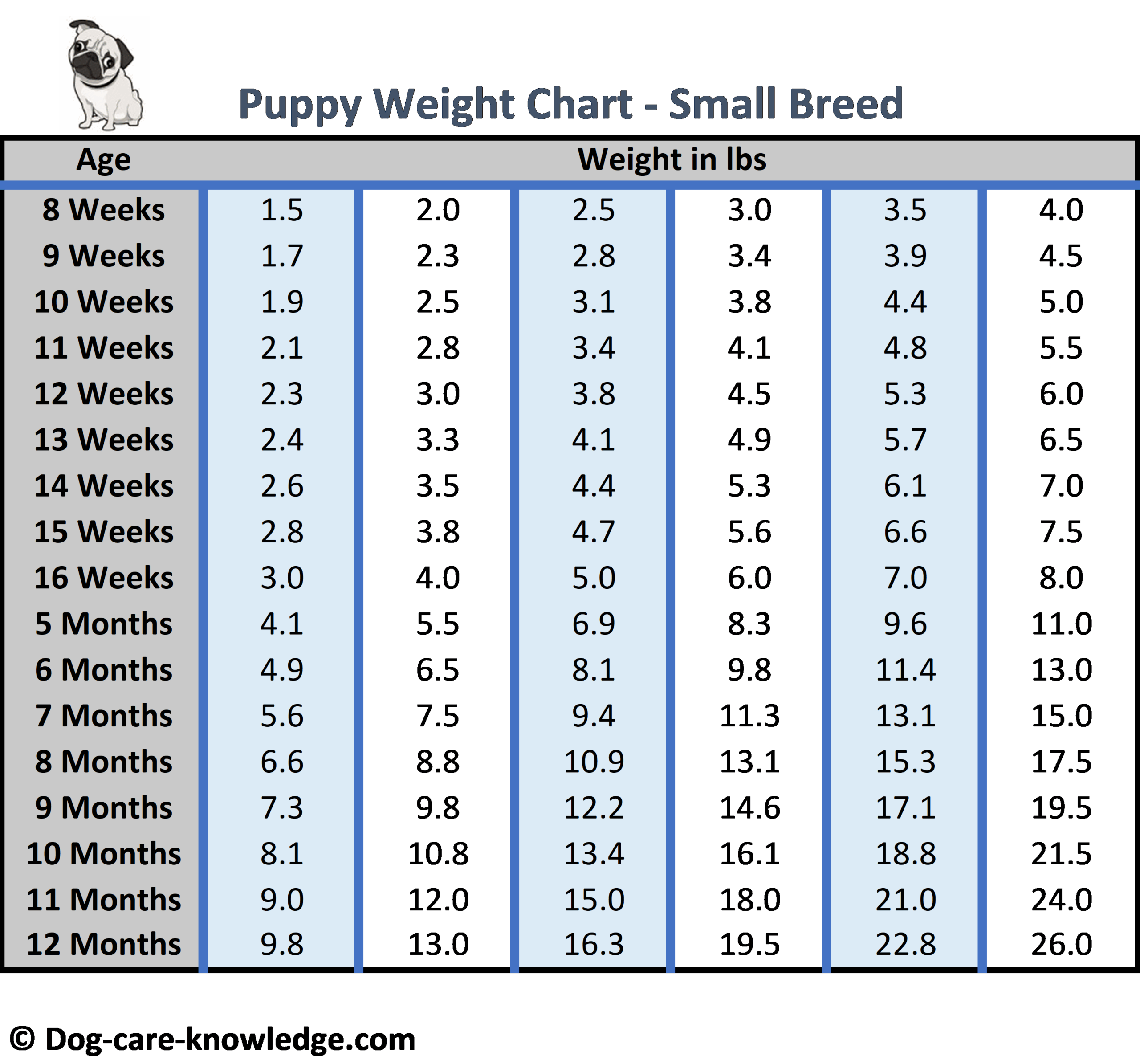 Puppy Growth Chart Little Dog Age Chart 11 Weeks In Dog Years Top